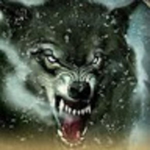 Meet your Posher, Derek